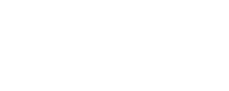 Lillys tour travel logo blanc