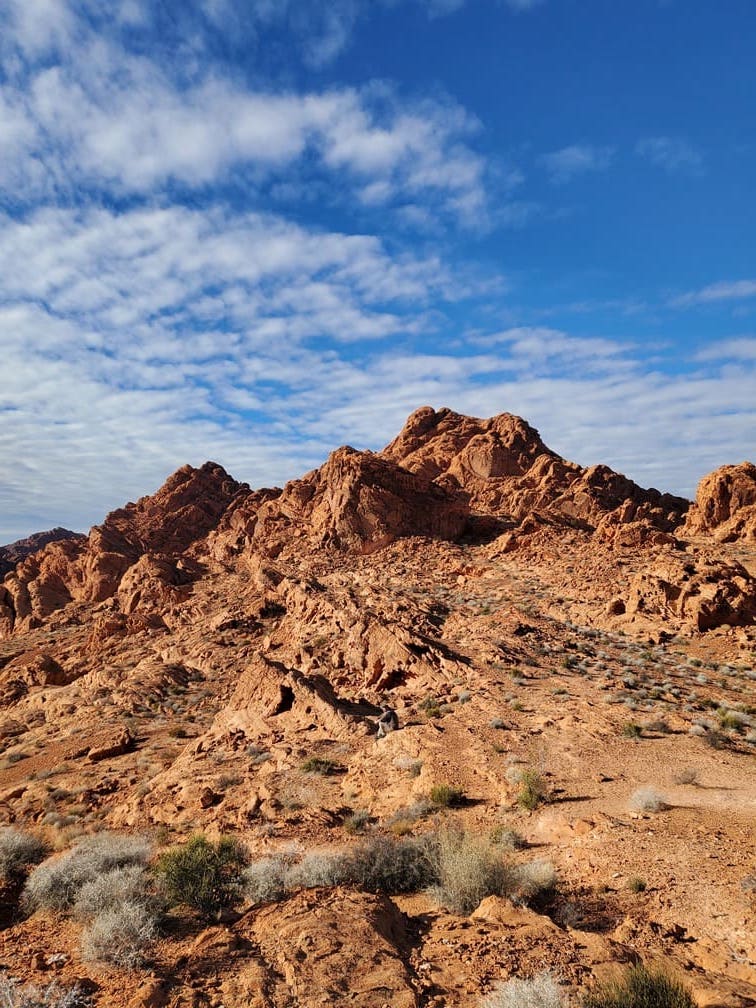 Valley of fire - Tour Las Vegas - 37