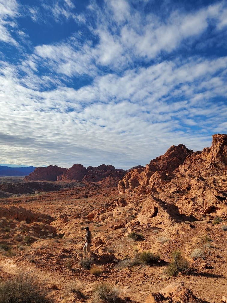 Valley of fire - Tour Las Vegas - 40