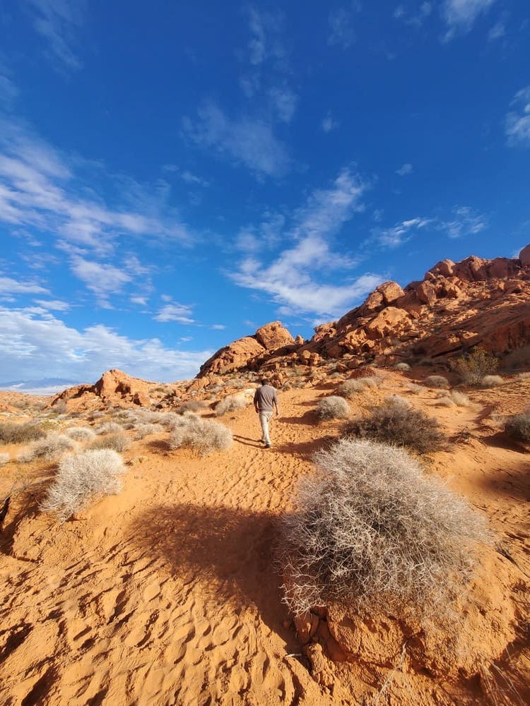 Valley of fire - Tour Las Vegas - 42
