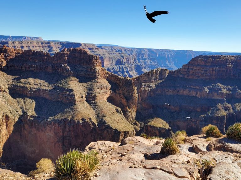 Grand Canyon 09
